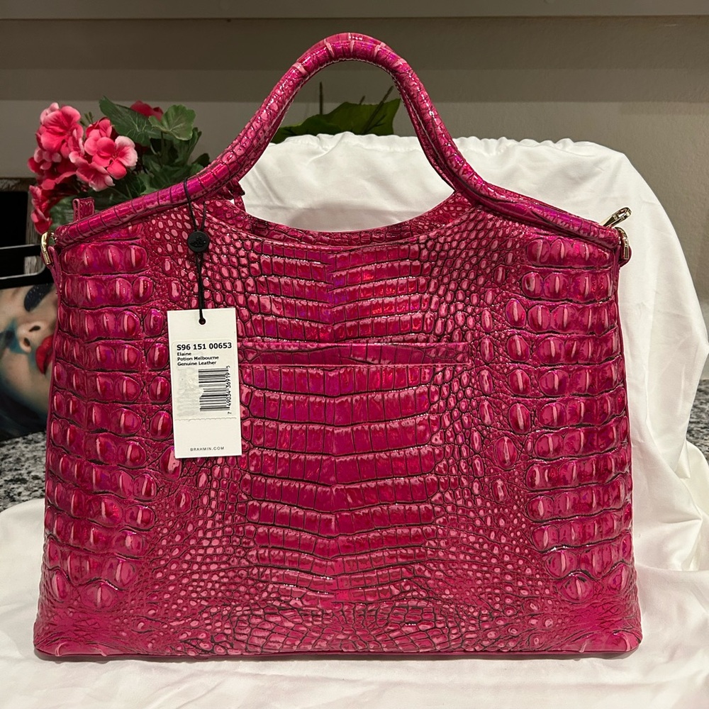 Brahmin Potion Elaine - Picture 3 of 9